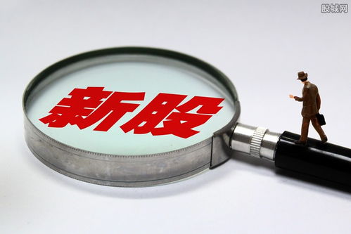 688223晶科能源中簽號公布及新股上市信息