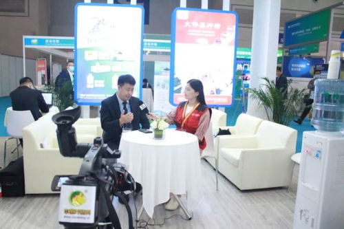 精準把握市場動向，沈陽偉嘉以技術驅動服務創新